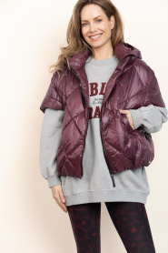 Deblon |  Padded bodywarmer Stevie | bordeaux | Picture 7