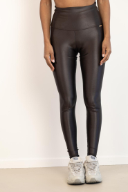 Deblon |  Tight legging Shine | brown | Picture 5