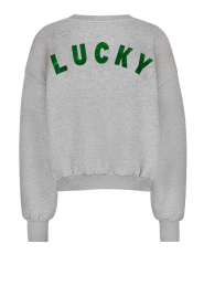 by-bar |  Sweater with metallic print Bibi | grey | Picture 7