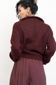 by-bar |  Alpaca blend sweater with zipper Beau | burgundy | Picture 7