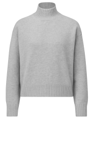 Drykorn |  Soft sweater with turtle neck Lizima | grey | Picture 1