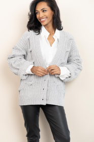 Drykorn |  Knitted cardigan Ribione | grey | Picture 2