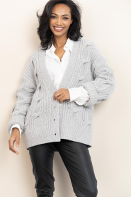 Drykorn |  Knitted cardigan Ribione | grey | Picture 4