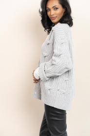 Drykorn |  Knitted cardigan Ribione | grey | Picture 5