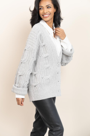 Drykorn |  Knitted cardigan Ribione | grey | Picture 6