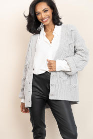 Drykorn |  Knitted cardigan Ribione | grey | Picture 7