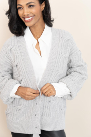 Drykorn |  Knitted cardigan Ribione | grey | Picture 8