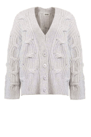 Drykorn |  Knitted cardigan Ribione | grey | Picture 1