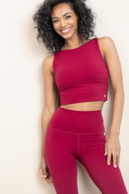 House of Gravity |  Cropped top Active | burgundy  | Picture 4