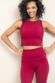 House of Gravity |  Cropped top Active | burgundy  | Picture 5