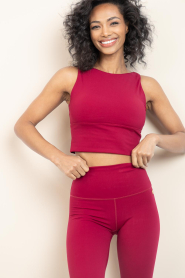 House of Gravity |  Cropped top Active | burgundy  | Picture 6