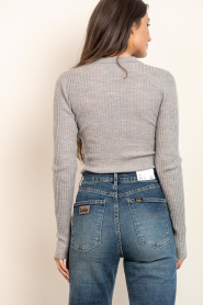 Herskind |  Merino woolen polo Cadee | taupe | Picture 7