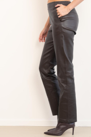 Dante6 |  Strethc leather pants Lova | brown | Picture 7