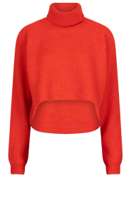 Dante6 |  Soft Alpaca sweater with turtle neck Yuria | red | Picture 1