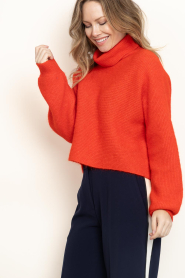 Dante6 |  Soft Alpaca sweater with turtle neck Yuria | red | Picture 7
