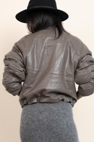 Dante6 |  Faux leather bomber jacket Duarte | taupe | Picture 7