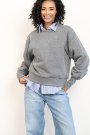 Dante6 |  Cotton sweater with logo Lison | grey | Picture 2