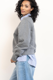 Dante6 |  Cotton sweater with logo Lison | grey | Picture 4