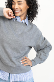 Dante6 |  Cotton sweater with logo Lison | grey | Picture 5