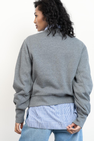 Dante6 |  Cotton sweater with logo Lison | grey | Picture 7