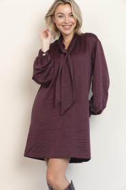 Dante6 |  Crinkle mini dress Leigh | burgundy | Picture 2