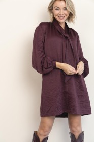 Dante6 |  Crinkle mini dress Leigh | burgundy | Picture 4