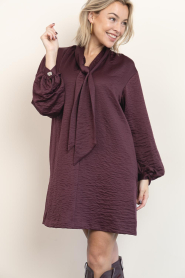 Dante6 |  Crinkle mini dress Leigh | burgundy | Picture 5