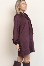 Dante6 |  Crinkle mini dress Leigh | burgundy | Picture 6