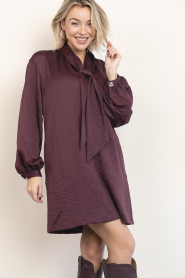 Dante6 |  Crinkle mini dress Leigh | burgundy | Picture 9