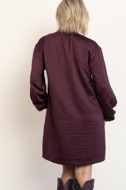 Dante6 |  Crinkle mini dress Leigh | burgundy | Picture 7