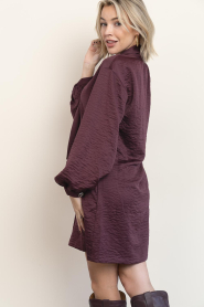 Dante6 |  Crinkle mini dress Leigh | burgundy | Picture 8