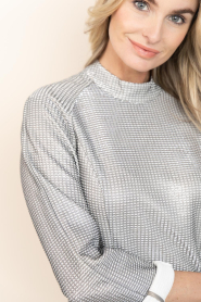 Dante6 |  Metallic top Therel | silver | Picture 9
