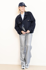 Dante6 |  Metallic straight leg pants Aremi | silver | Picture 2