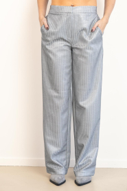 Dante6 |  Metallic straight leg pants Aremi | silver | Picture 4