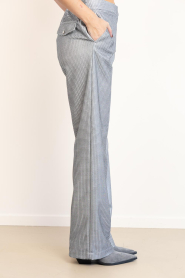 Dante6 |  Metallic straight leg pants Aremi | silver | Picture 5