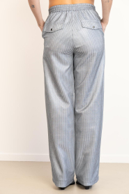 Dante6 |  Metallic straight leg pants Aremi | silver | Picture 6