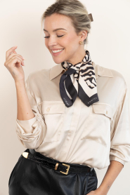 Dante6 |  Scarf with print Zebra | animal print | Picture 4