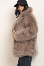Alter Ego |  Faux fur jacket Harper | taupe | Picture 6