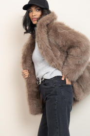 Alter Ego |  Faux fur jacket Harper | taupe | Picture 7