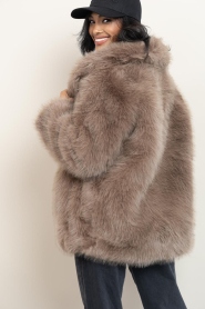 Alter Ego |  Faux fur jacket Harper | taupe | Picture 8