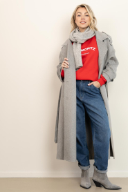 Alter Ego |  Woolen trenchcoat Adelin | grey | Picture 5