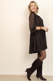 March23 |  Suède boots Bethy | brown | Picture 2