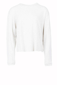 American Vintage |  Super soft top Ypawood | light grey | Picture 1