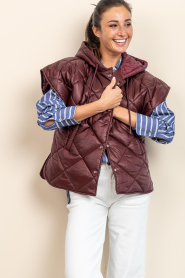 Est'Seven |  Padded bodywarmer Noelle | burgundy | Picture 4