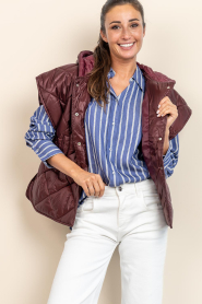 Est'Seven |  Padded bodywarmer Noelle | burgundy | Picture 5