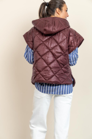 Est'Seven |  Padded bodywarmer Noelle | burgundy | Picture 9