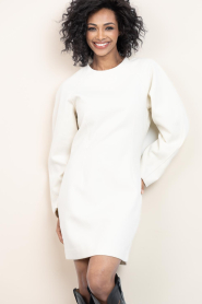 Second Female |  Fitted mini dress Avita | natural | Picture 2
