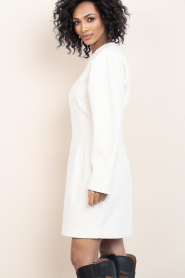 Second Female |  Fitted mini dress Avita | natural | Picture 5