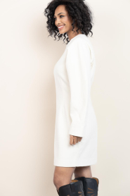 Second Female |  Fitted mini dress Avita | natural | Picture 6