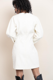 Second Female |  Fitted mini dress Avita | natural | Picture 7